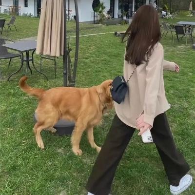 鲁班的传说